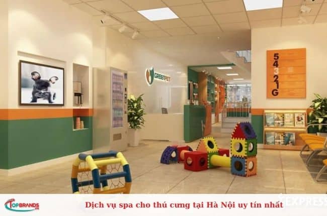  Dịch vụ spa cho chó mèo uy tín tại Hà Nội