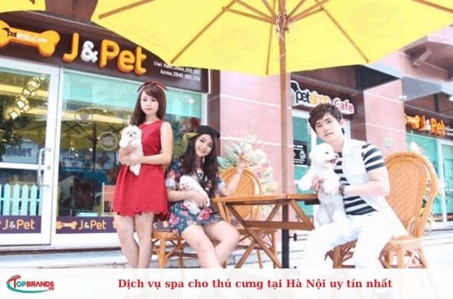  Dịch vụ spa cho chó mèo chất lượng ở Hà Nội