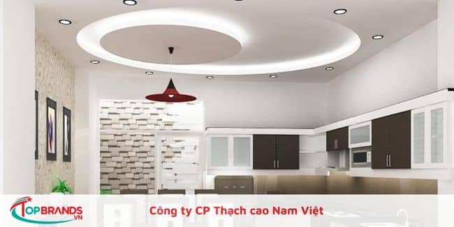 Công ty CP Thạch cao Nam Việt