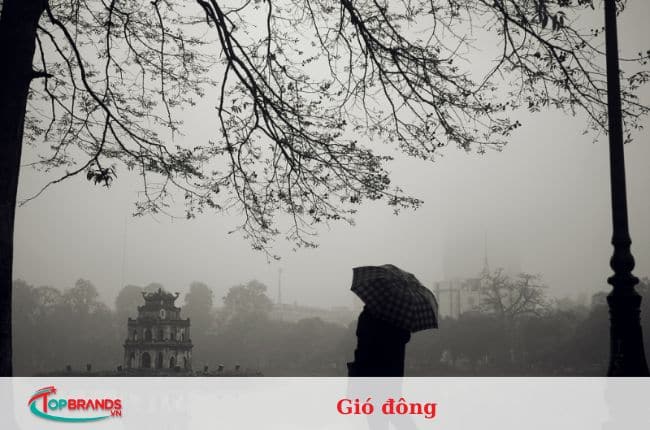 Điều về mùa đông Hà Nội khiến người ta yêu