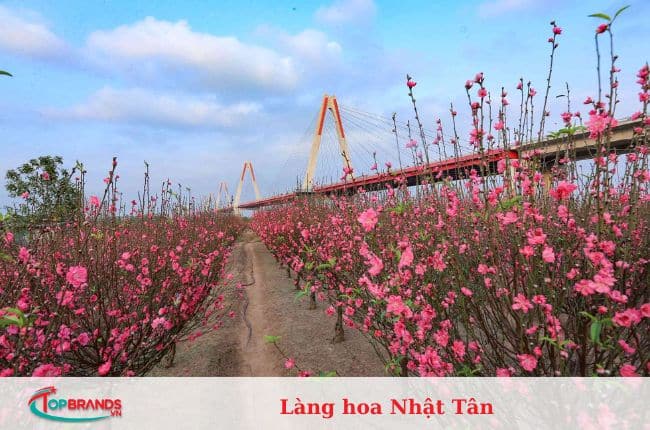 làng hoa Hà Nội đẹp và nổi tiếng nhất