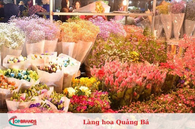 làng hoa Hà Nội đẹp và nổi tiếng nhất