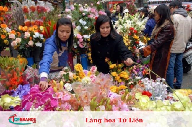 làng hoa Hà Nội đẹp và nổi tiếng nhất