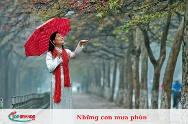 Điều về mùa đông Hà Nội khiến người ta yêu