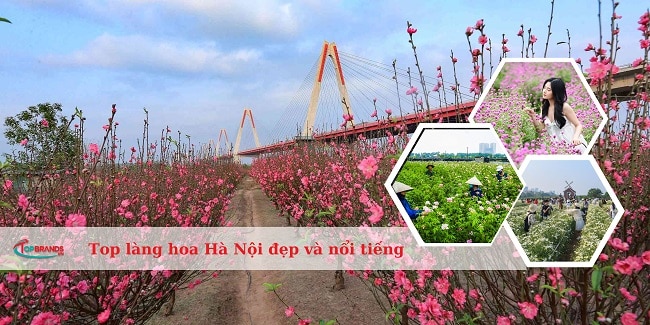 làng hoa Hà Nội đẹp và nổi tiếng nhất