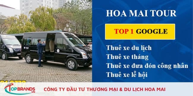 CÔNG TY ĐẦU TƯ THƯƠNG MẠI & DU LỊCH HOA MAI