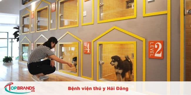 Bệnh viện thú y Hải Đăng