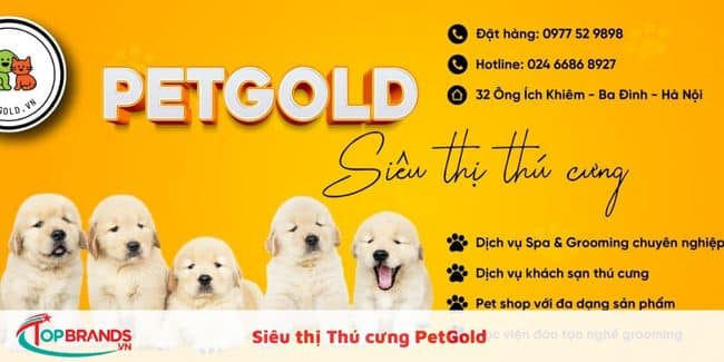 Siêu thị Thú cưng PetGold