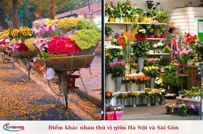 Điểm khác nhau thú vị giữa Hà Nội và Sài Gòn