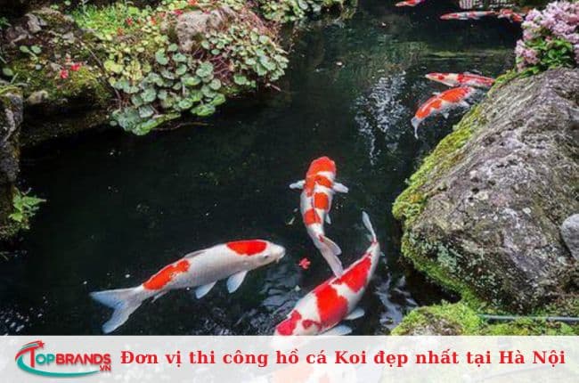 Công ty CP Dịch vụ và Sản xuất Sơn Kim Việt Nam