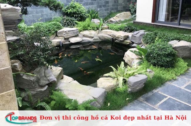 Công ty Hồ cá Koi Trung Đức