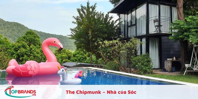 The Chipmunk – Nhà của Sóc