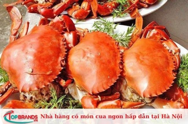 Chợ Hải Sản Biển Đông