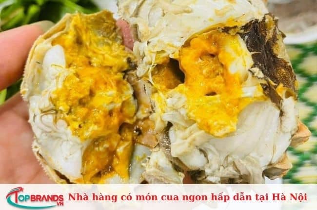 Hải Sản 5 Cua