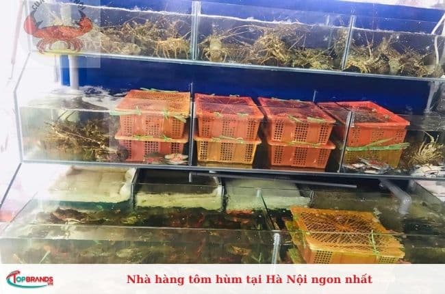 Nhà hàng tôm hùm tại Hà Nội ngon nhất