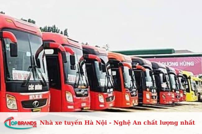 Xe giường nằm Cúc Mừng