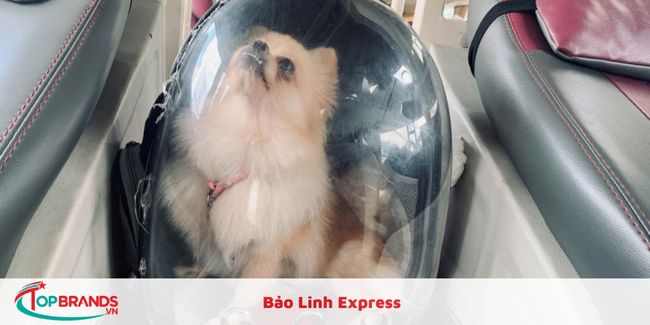 Bảo Linh Express