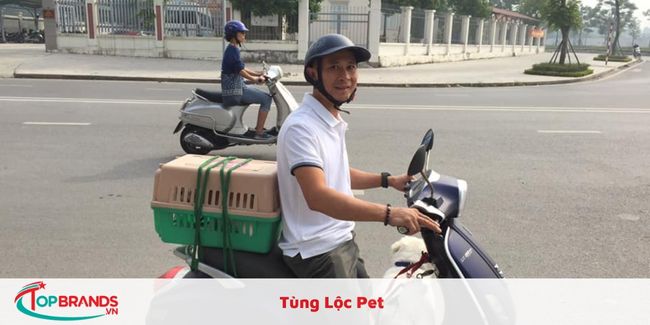 Dịch vụ vận chueyenr thú cưng uy tín tại Hà Nội