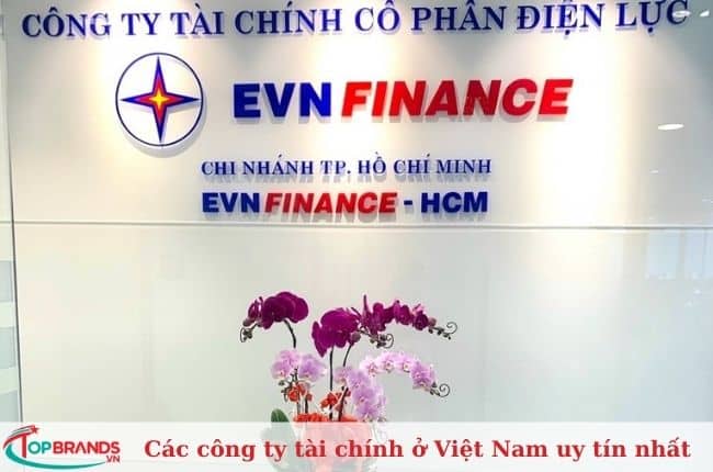 Công ty tài chính cổ phần Điện Lực