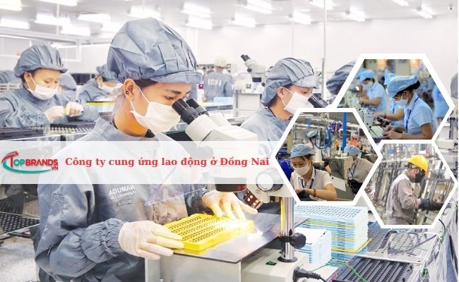Top 10 công ty cung ứng lao động, nhân lực tại Biên Hòa - Đồng Nai uy tín