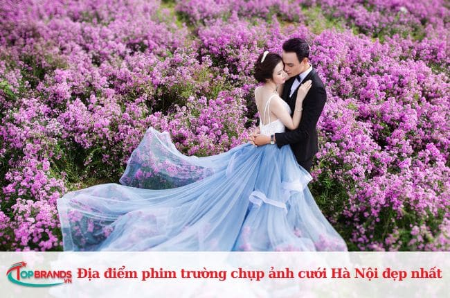 Phim trường Thảo Nguyên Hoa