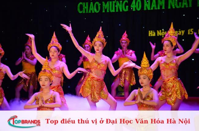 Top điều thú vị ở Đại Học Văn Hóa Hà Nội