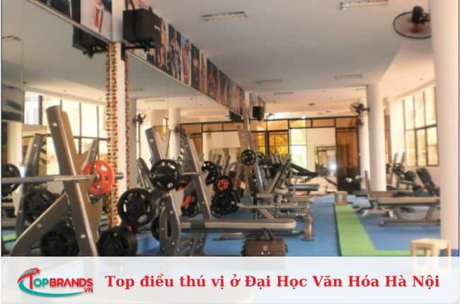 Phòng tập gym chất lượng, giá rẻ