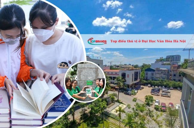 Top điều thú vị ở Đại Học Văn Hóa Hà Nội