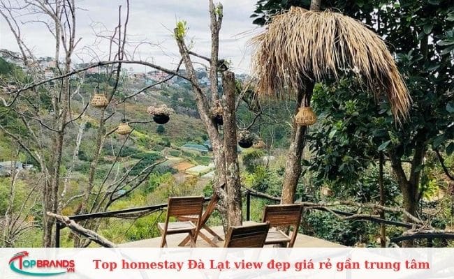 Homestay Cú trên cây