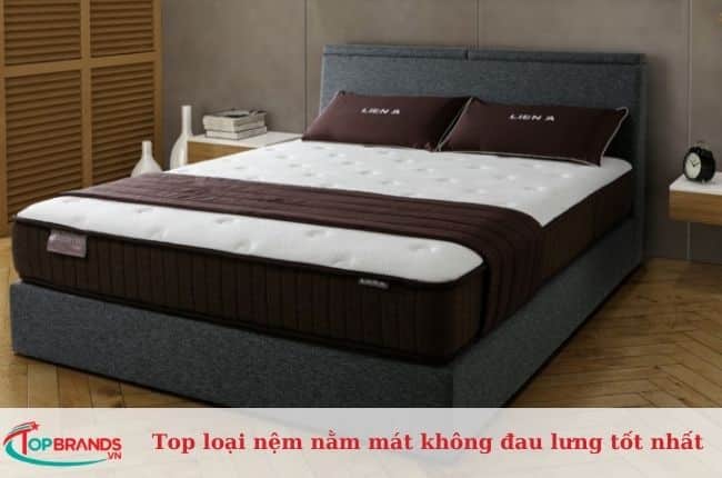 Nệm lò xo túi Cocoon 2.0 Firm Liên Á