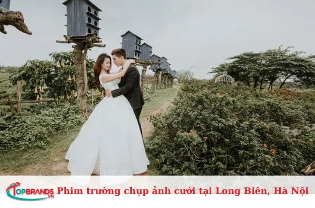 Phim trường thung lũng tình yêu Long Biên