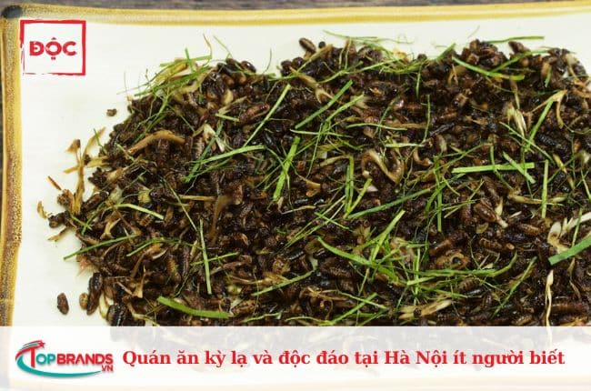 Quán ăn kỳ lạ và độc đáo tại Hà Nội ít người biết