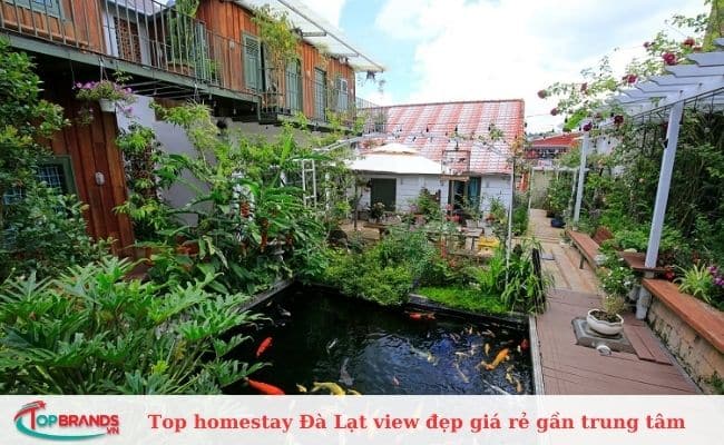 Six Six garden – Rose Koi homestay