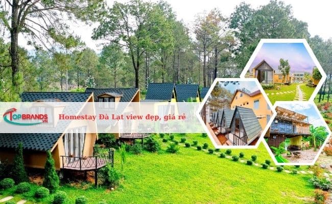 Top 10 homestay Đà Lạt view đẹp giá rẻ gần trung tâm (mới nhất 2023)