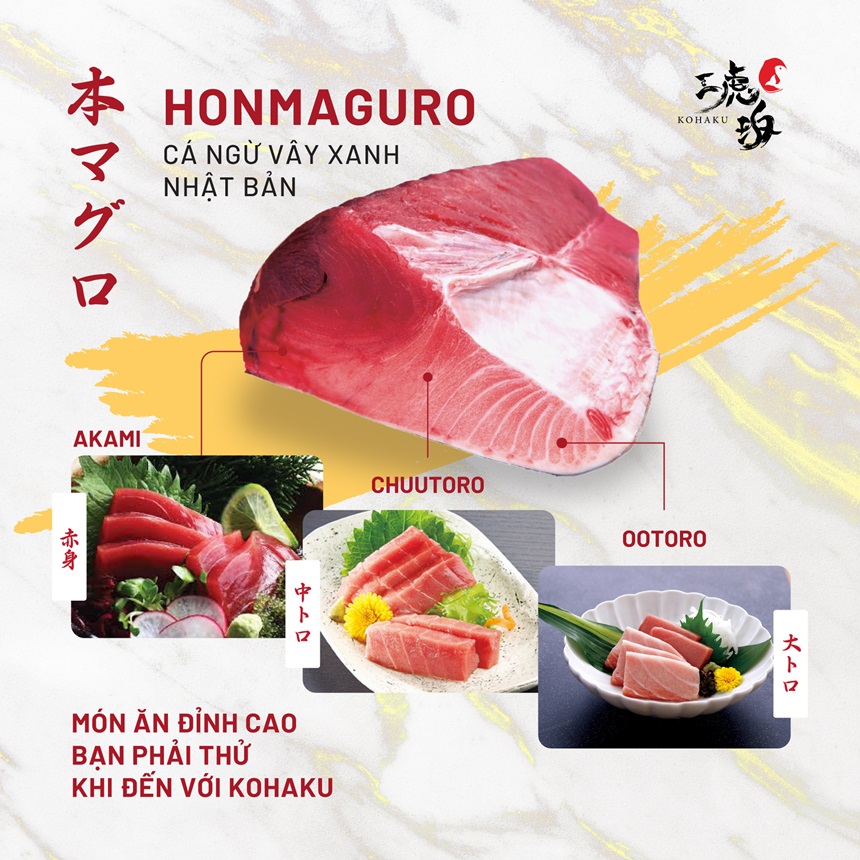  Kohaku Sushi 