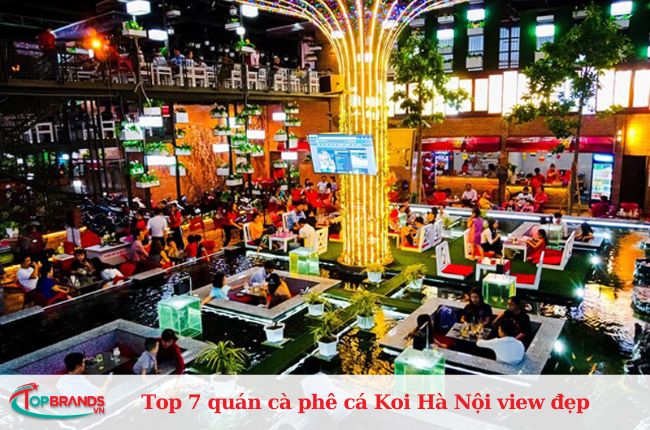 Quán cà phê cá Koi Hà Nội Koi Cafe &; Showroom
