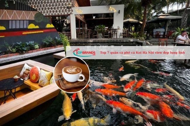 Top 7 quán cà phê cá Koi Hà Nội