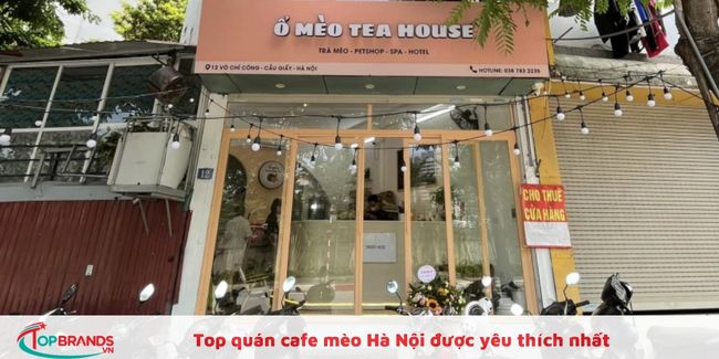 Ổ Mèo Tea House