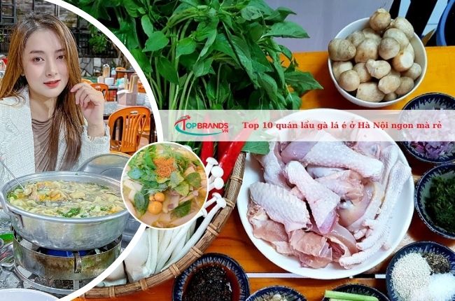 Top 10 quán lẩu gà lá é ở Hà Nội