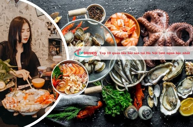 Top 10 quán lẩu hải sản tại Hà Nội tươi ngon bậc nhất