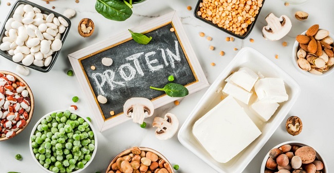 Thực phẩm giàu protein và calo