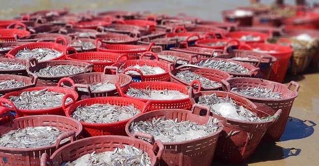 Chợ cá hải sản Mũi Kê Gà Phan Thiết