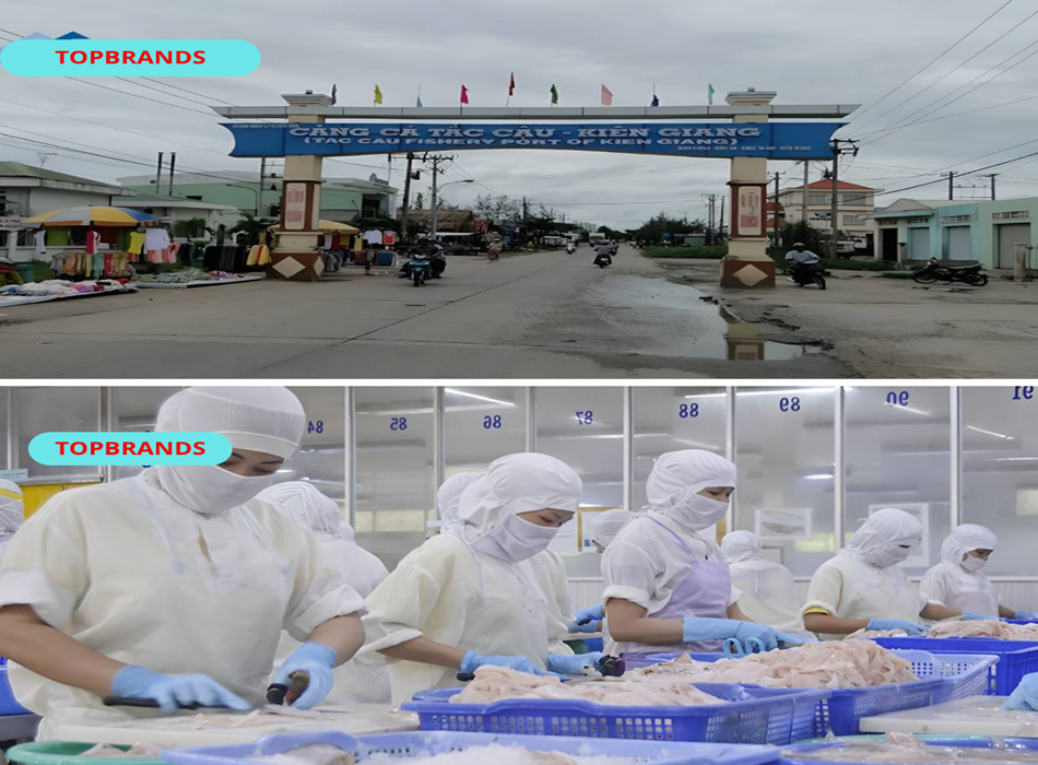 Khu công nghiệp Tắc Cậu – Trung tâm công nghiệp mới của Kiên Giang, liền kề TP. Rạch Giá