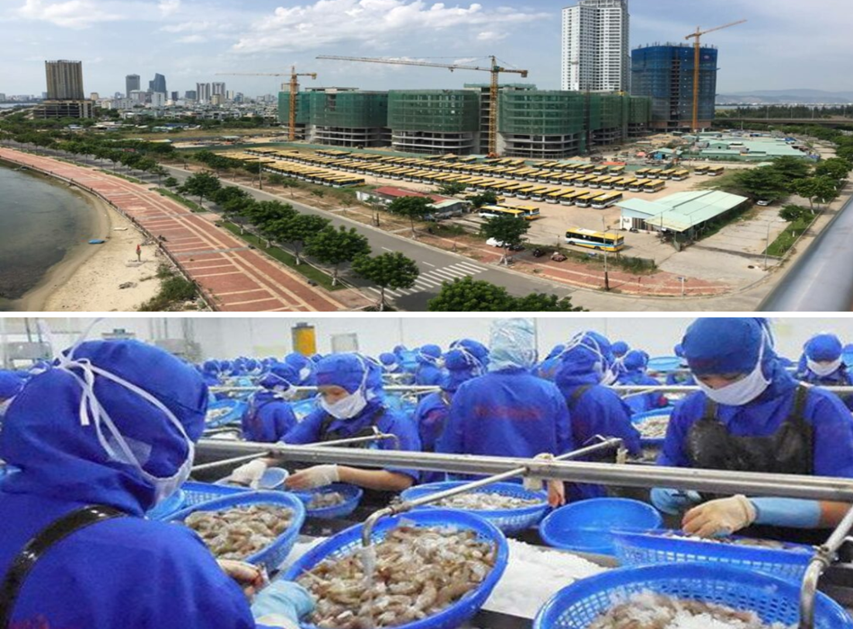 Khu công nghiệp Dịch vụ Thủy sản – Trung tâm hậu cần thủy sản của Đà Nẵng